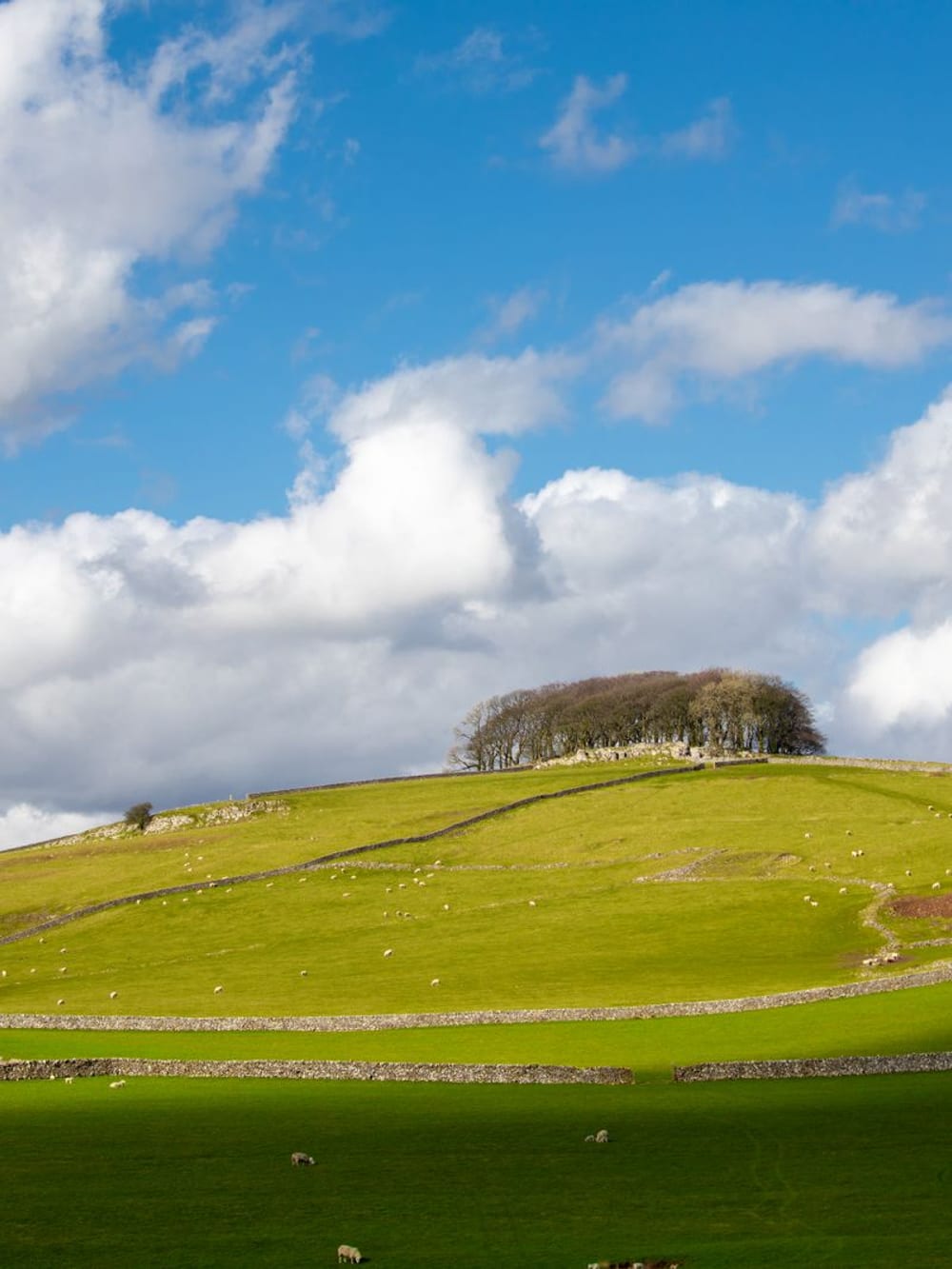 Rolling green farmland under a wide sky – English countryside