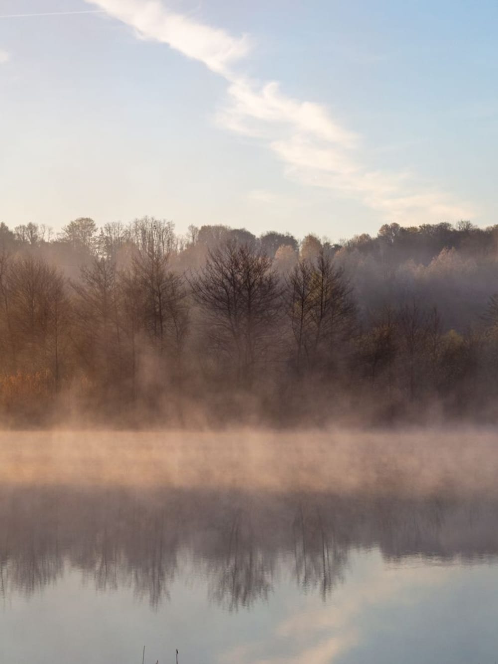 Morning mist over a still lake – Lakeside